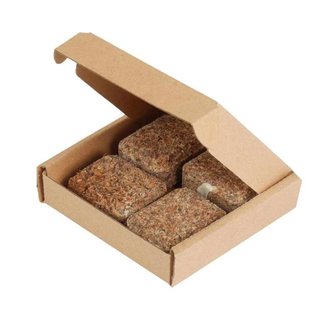چوب آتش‌زا کمپ فایر 4 عددی مدل CF02 - تصویر 4