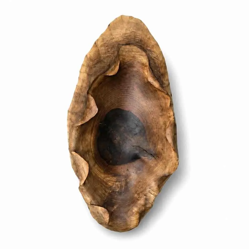 اردو خوری طرح حلزون چوب گردو - تصویر 4