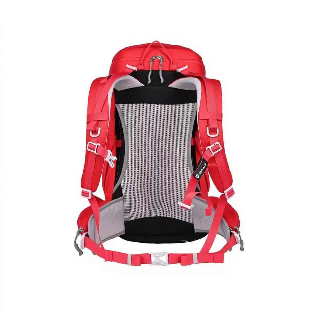 کوله پشتی کاراکال 36 لیتر CA-B4005 - تصویر 10