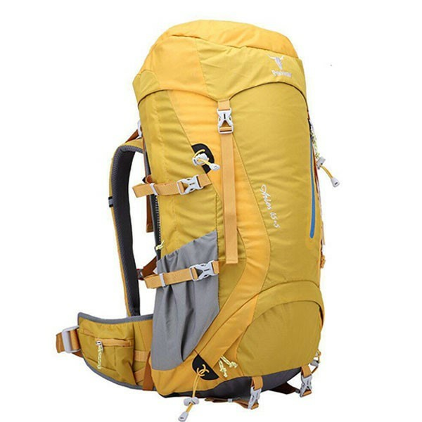کوله پشتی کوهنوردی کله گاوی مدل آریس Pekynew Aries 45+5
