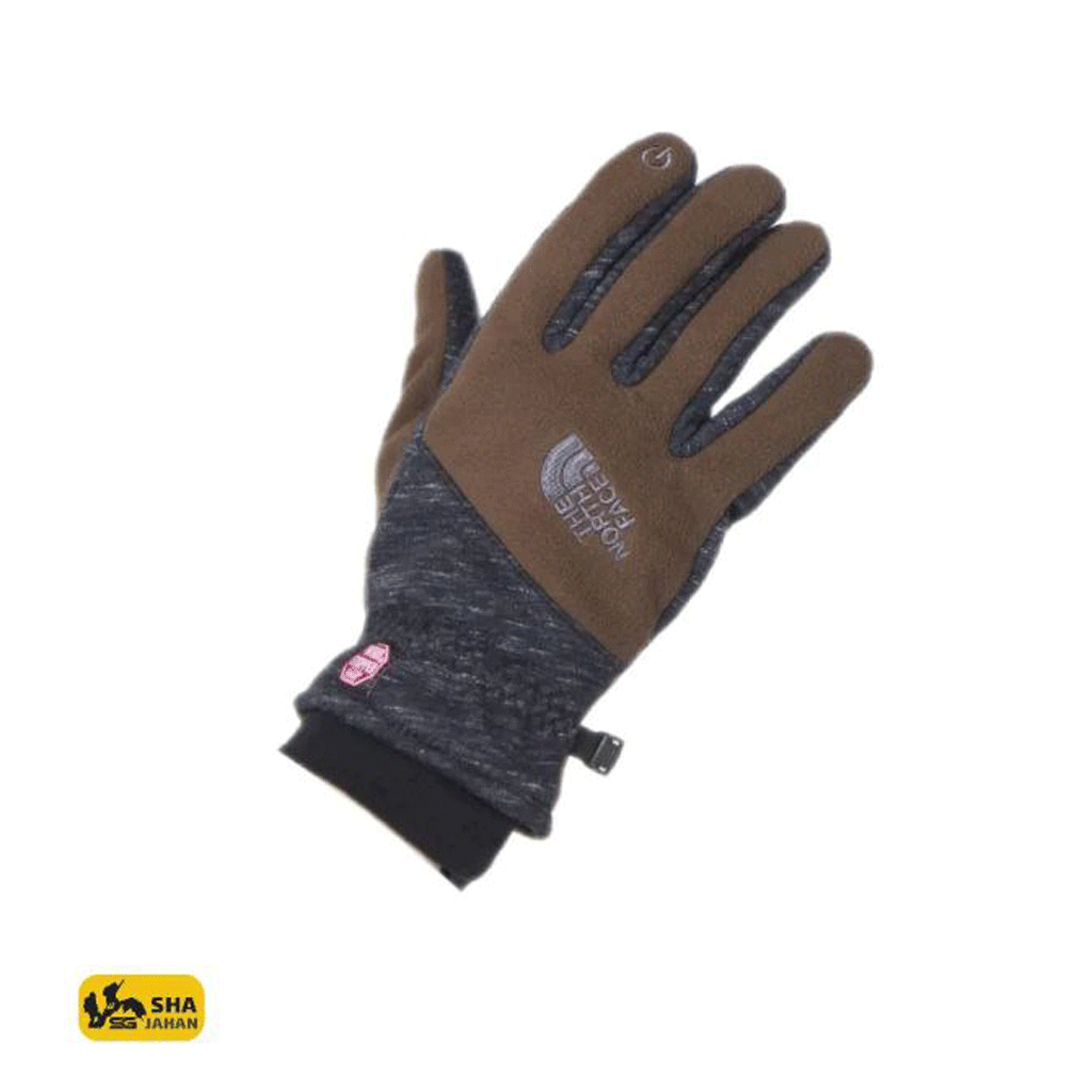 دستکش ویند پلار THE NORTH FACE